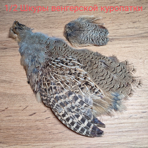 Скальп венгерской куропатки 1/2. Hungarian Partridge Skin